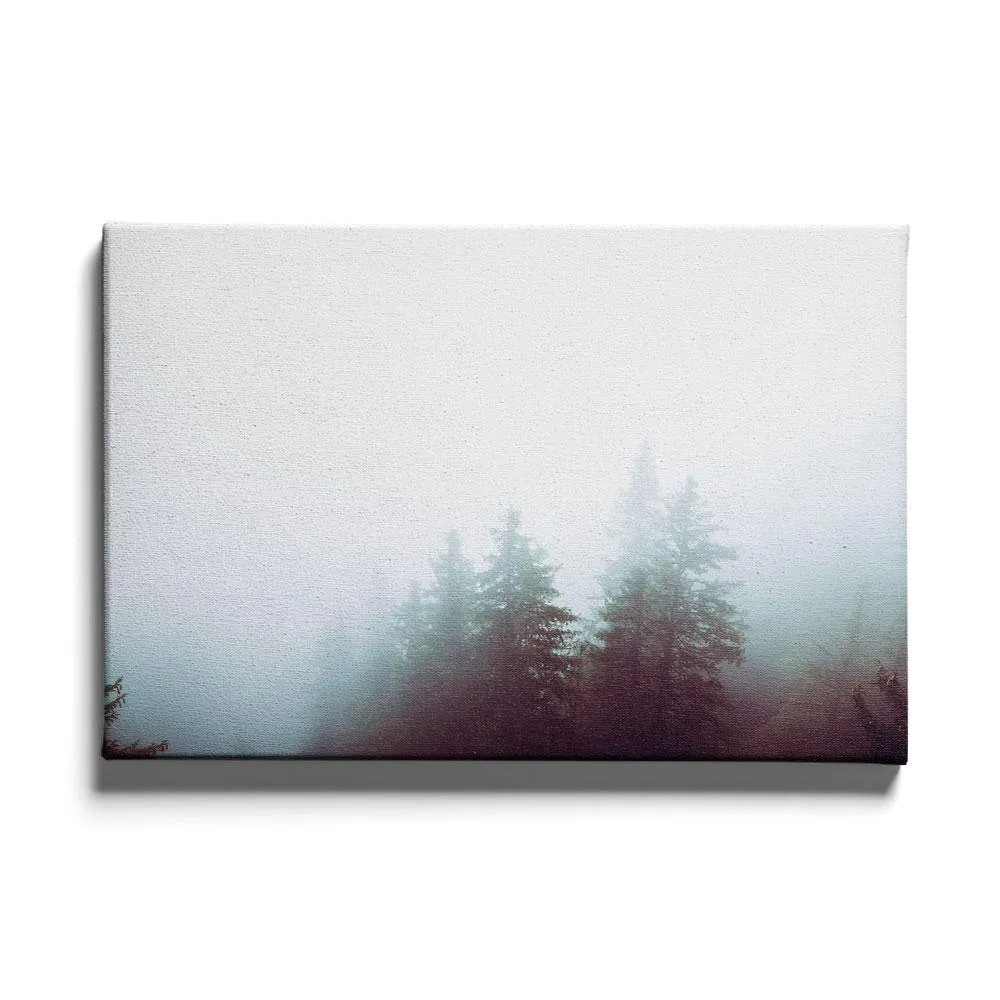 Foggy Woods