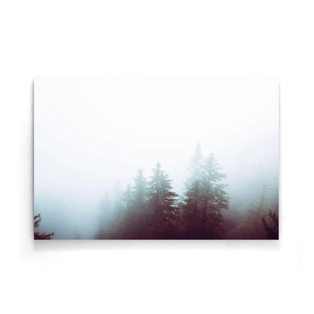 Foggy Woods