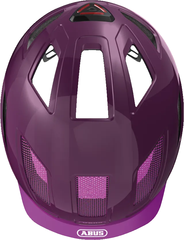 Hyban 2.0 Core Purple